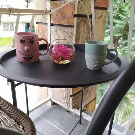 Appartamento Maric In Vrnjačka Banja