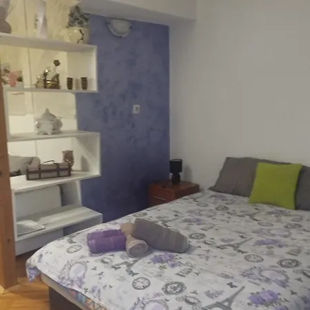 Maric In Appartamento Vrnjačka Banja