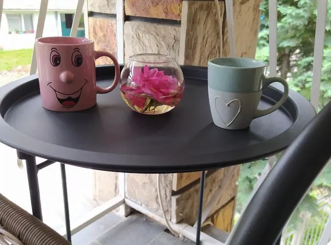 Appartement Maric In Vrnjačka Banja