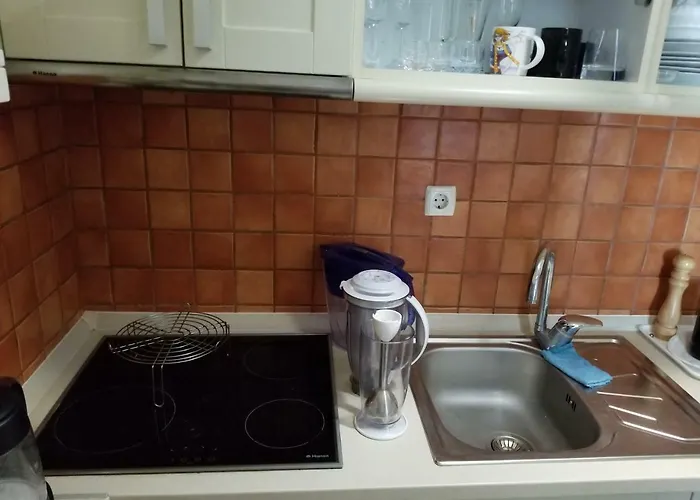 Maric In Vrnjačka Banja